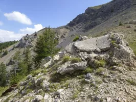 Ligne Maginot - MONT GRAVIERES OUEST - (Abri) - 
