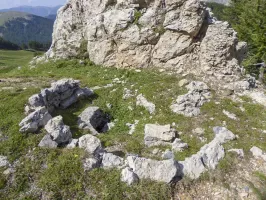 Ligne Maginot - MONT GRAVIERES OUEST - (Abri) - Cuve à proximité