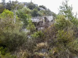 Ligne Maginot - BOLLINETTE NORD - (Blockhaus pour arme infanterie) - 