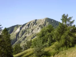 Ligne Maginot - CAIRE GROS - (Observatoire d'artillerie) - Le sommet de l'observatoire