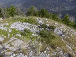 Ligne Maginot - CAIRE GROS - (Observatoire d'artillerie) - Observatoire 1