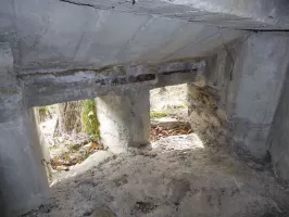 Ligne Maginot - ROURE - LE TIECS - (Observatoire indéterminé) - Créneaux est