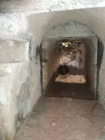 Ligne Maginot - FRESSINEA - (DMP - Dispositif de Mine Permanent) - 