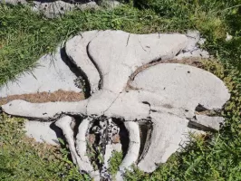 Ligne Maginot - GRANGES DE LA BRASQUE - CAMP DU TOURNAIRET - (Casernement) - Pierre sculptée