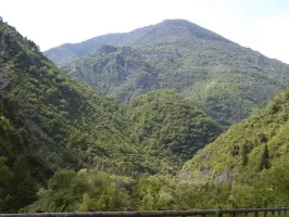 Ligne Maginot - O41 - LA COLETTA SUD - (Casemate d'infanterie) - Colline de la Coletta au milieu