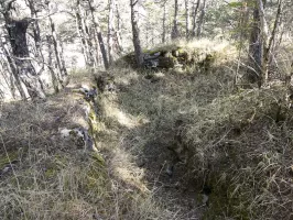 Ligne Maginot - PETITE TETIERE (POINT D'APPUI) - (Divers) - Cuve