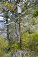 Ligne Maginot - PICCIARVET (FORT DE) - (Position d'artillerie préparée) - Support de cage à applique pour lampe, sur le chemin de la batterie Est (Pic Charvet).