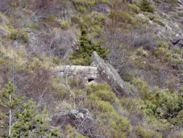 Ligne Maginot - ROURE - La BARRE (Blockhaus pour arme infanterie) - 