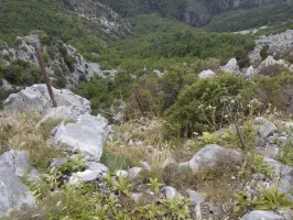 Ligne Maginot - TETE DE SAINT-SAUVEUR - (Observatoire d'artillerie) - Chemin d'accès