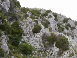Ligne Maginot - TETE DE SAINT-SAUVEUR - (Observatoire d'artillerie) - Chemin d'accès