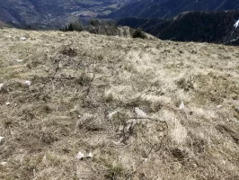 Ligne Maginot - TETE DE SIRUOL - (Observatoire indeterminé) - 