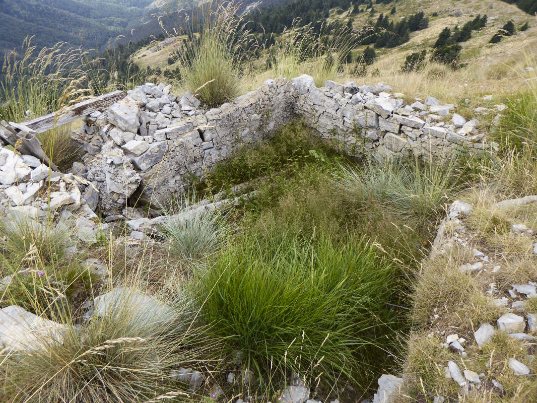 Ligne Maginot - CAIRE GROS - (Abri) - Positions sommaires aménagées sur les dessus de l'ouvrage