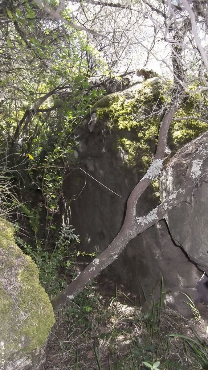 Ligne Maginot - CHAPELLE SAINT SAUVEUR - (Blockhaus pour arme infanterie) - Tranchée menant à l'entrée creusée dans la roche