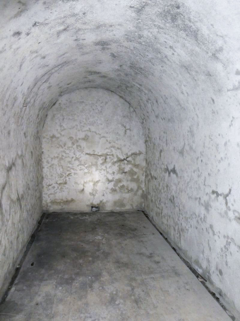 Ligne Maginot - SERENA - (Abri actif) - 