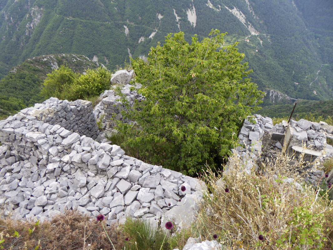 Ligne Maginot - TETE DE SAINT-SAUVEUR - (Observatoire d'artillerie) - Casernement