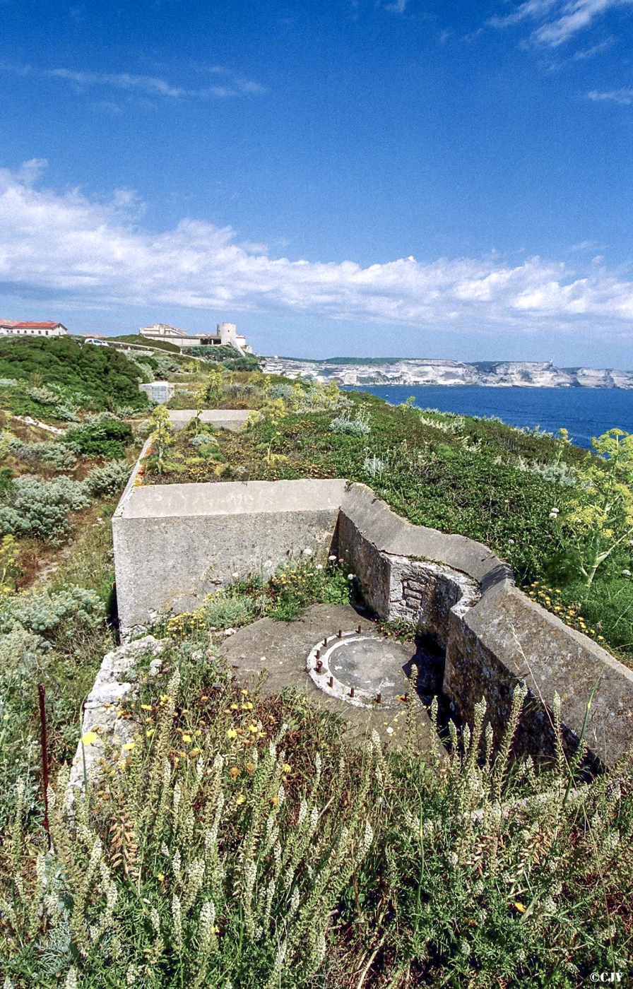 Ligne Maginot - BONIFACIO - Batterie N° 2 Annexe (Position d'artillerie préparée) - 