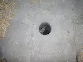 Ligne Maginot - BERGHE SUD (TUNNEL DE) - (Blockhaus pour arme infanterie) - Système de grenadage au dessus de la voute