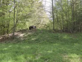 Ligne Maginot - ROTHENBOURG - (Casemate d'infanterie - Double) - La casemate remblayée