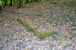 Ligne Maginot - GALGENBERG - A15 - (Ouvrage d'artillerie) - Entre EM et bloc 4
Une des semelles de fondation en béton du plan incliné pour l'approvisionnement en matériaux du bloc 4 et de l'EM depuis le dépôt et la centrale à béton située au sommet de la colline près du Bloc 3.