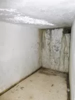 Ligne Maginot - COL D'AGNON - (Ouvrage d'infanterie) - Galerie de l'égout non visitable, servant de local. La sortie de l'égout a disparue sous les ronces (voir photo LOVINY Alain)