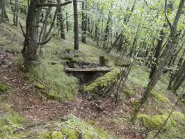 Ligne Maginot - COL D'AGNON  2 - (Blockhaus pour arme infanterie) - 