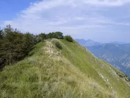 Ligne Maginot - ARBOIN NORD - (Observatoire d'artillerie) - A l'extrémité de la Crête de Carmes, sous les arbres, l'observatoire.