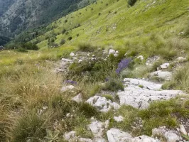 Ligne Maginot - ARBOIN NORD - (Observatoire d'artillerie) - Cuve sous la Gonella