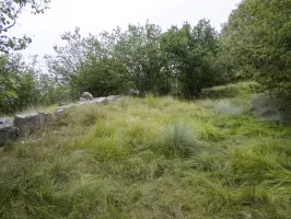 Ligne Maginot - L'ARBOIN SUD - (Observatoire d'artillerie) - Plateforme d'artillerie