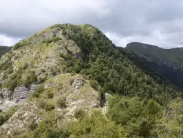 Ligne Maginot - L'ARBOIN SUD - (Observatoire d'artillerie) - Au dessus de L'Arboin l'extrémité nord de la Gonelle