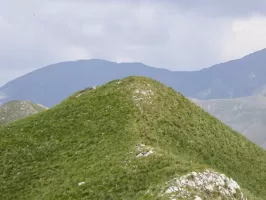 Ligne Maginot - ORTIGHEA SUD - (Observatoire d'artillerie) - Vue sur Ortighéa
