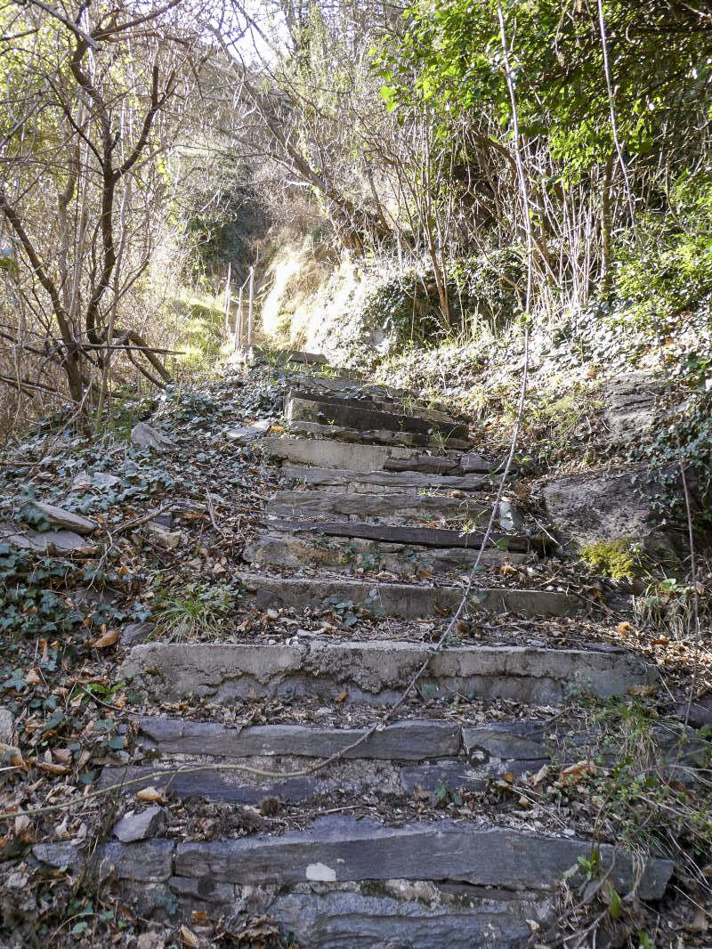 Ligne Maginot - BERGHE NORD (TUNNEL DE) - (Blockhaus pour arme infanterie) - Chemin d'accès du tunnel à partir de l'ancienne douane.
