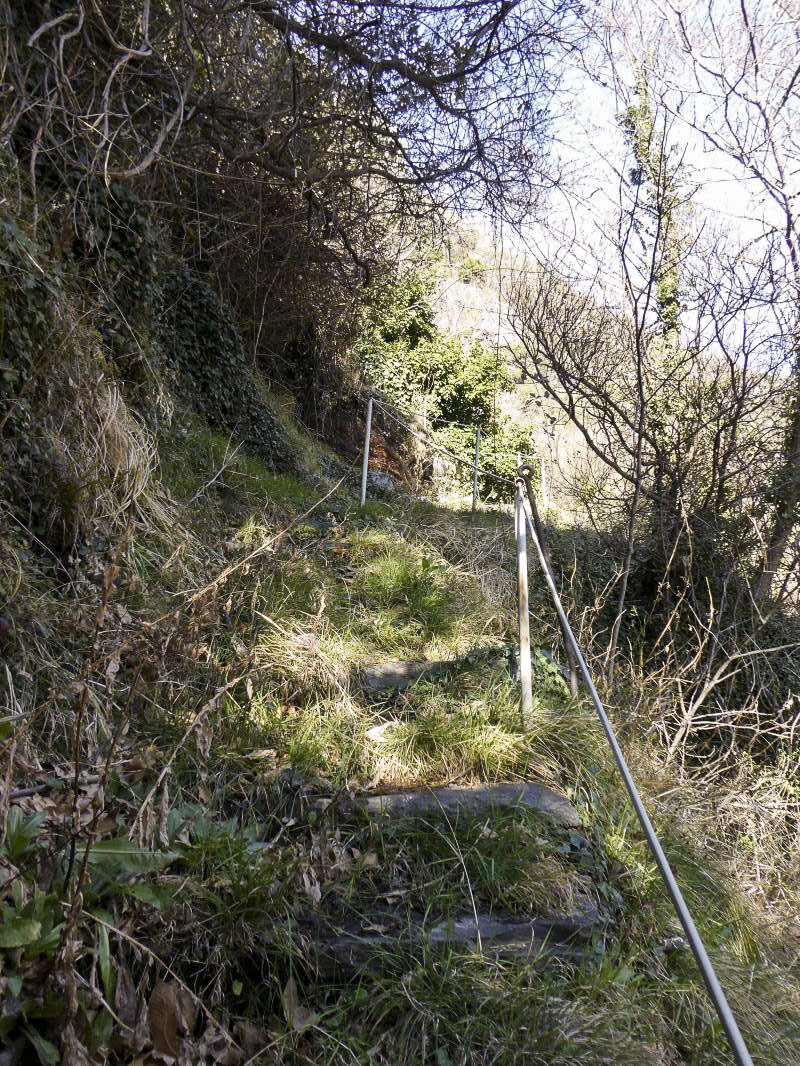 Ligne Maginot - BERGHE NORD (TUNNEL DE) - (Blockhaus pour arme infanterie) - Chemin d'accès du tunnel à partir de l'ancienne douane.