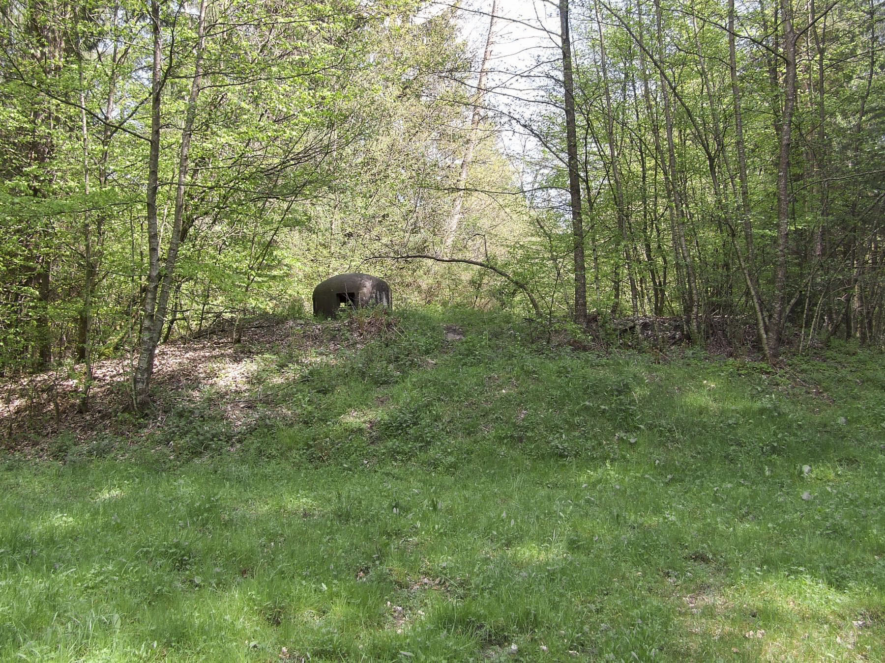 Ligne Maginot - ROTHENBOURG - (Casemate d'infanterie - Double) - La casemate remblayée