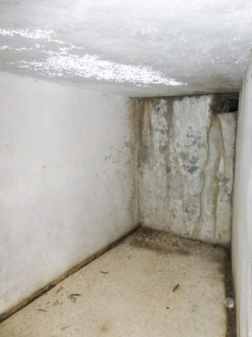 Ligne Maginot - COL D'AGNON - (Ouvrage d'infanterie) - Galerie de l'égout non visitable, servant de local. La sortie de l'égout a disparue sous les ronces (voir photo LOVINY Alain)