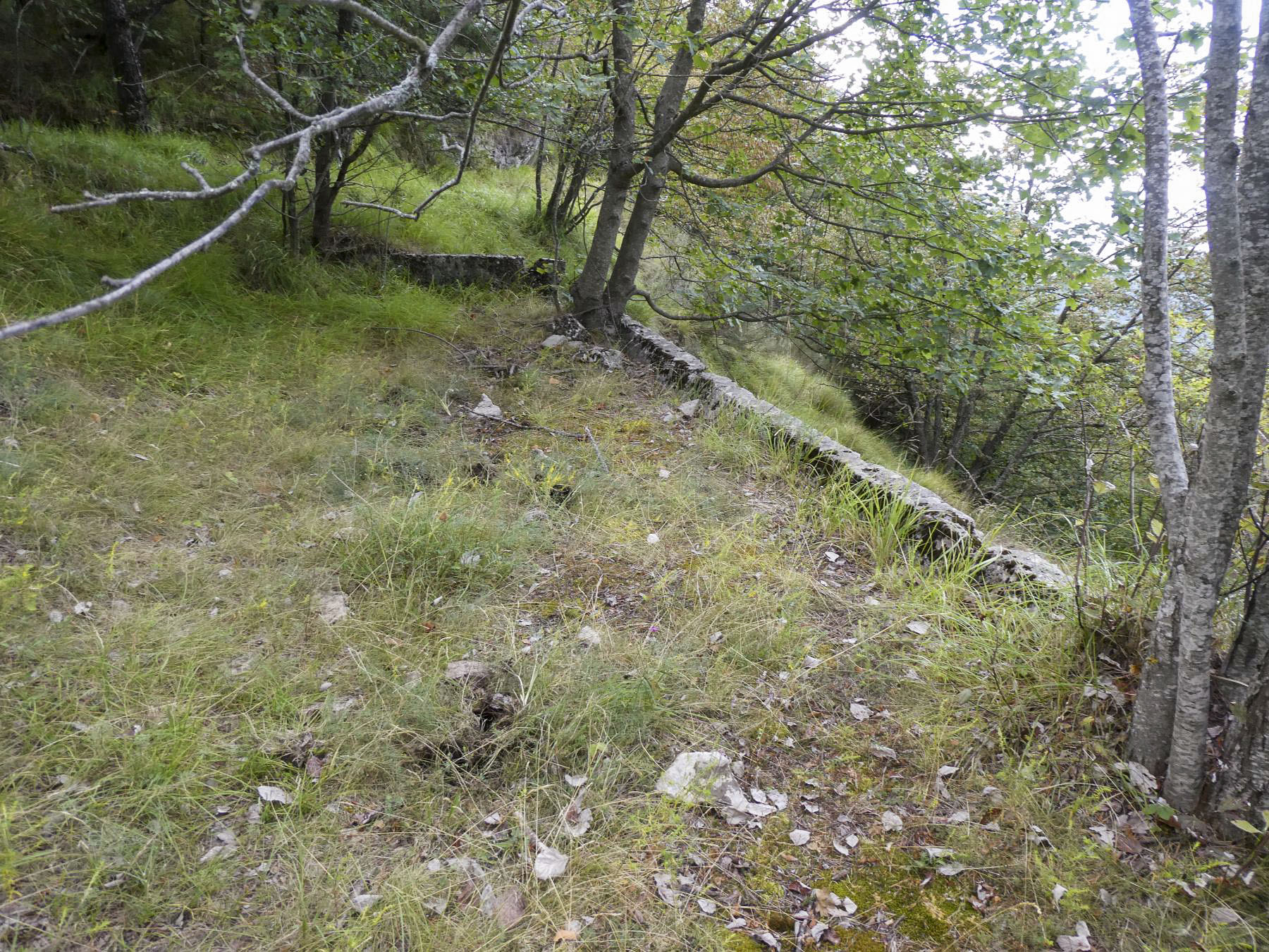 Ligne Maginot - COL D'AGNON - (Ouvrage d'infanterie) - Restes de baraquements
