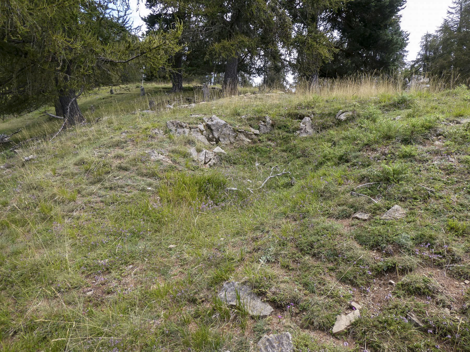Ligne Maginot - CROIX D'ARSEUIL - (Divers) - 