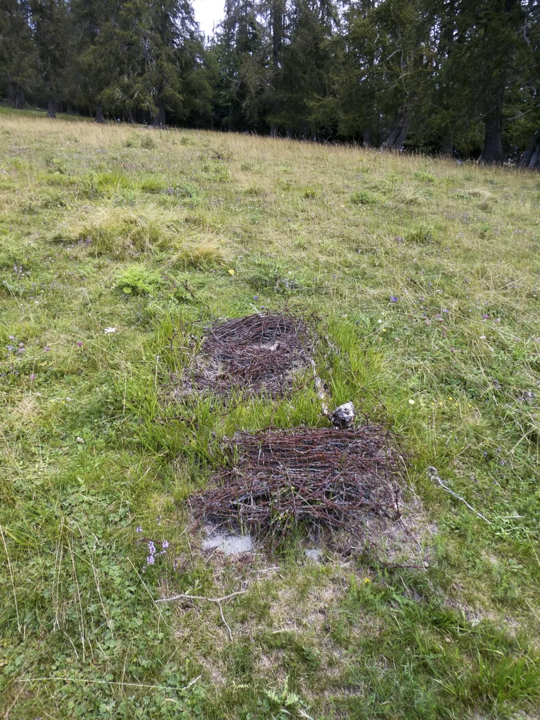 Ligne Maginot - CROIX D'ARSEUIL - (Divers) - 