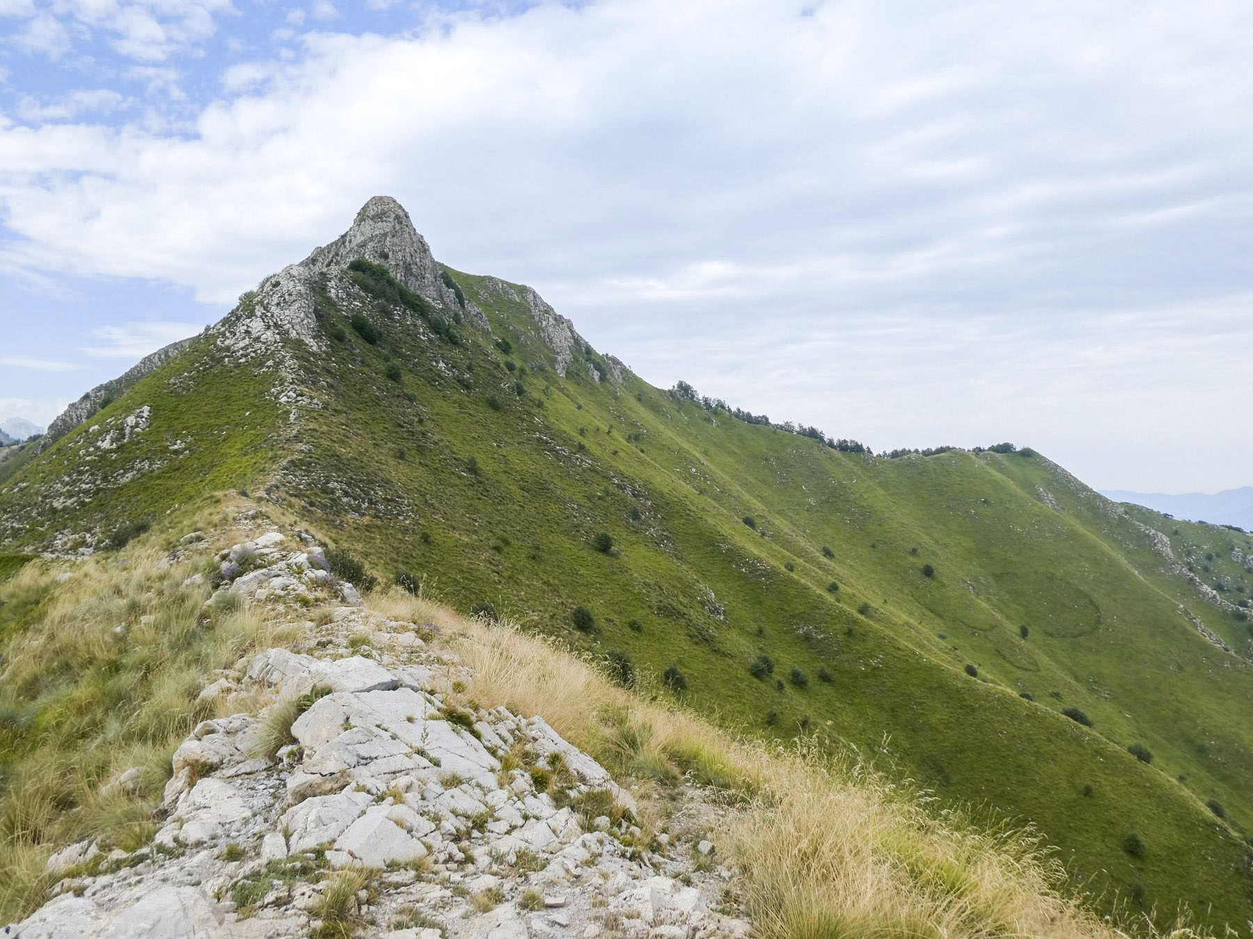 Ligne Maginot - ARBOIN NORD - (Observatoire d'artillerie) - La Cime de la Gonelle et à droite la Crête de Carmes