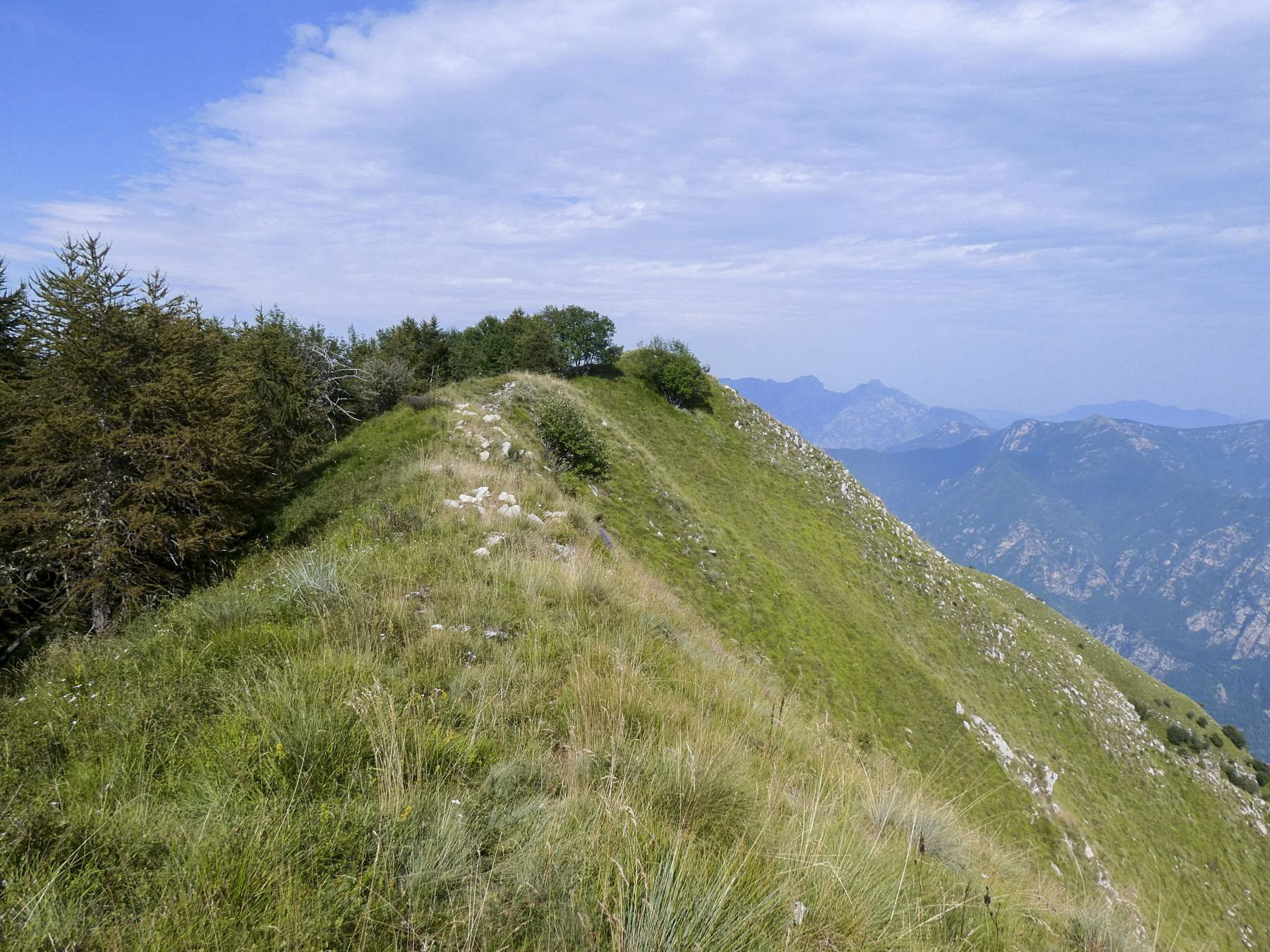 Ligne Maginot - ARBOIN NORD - (Observatoire d'artillerie) - A l'extrémité de la Crête de Carmes, sous les arbres, l'observatoire.