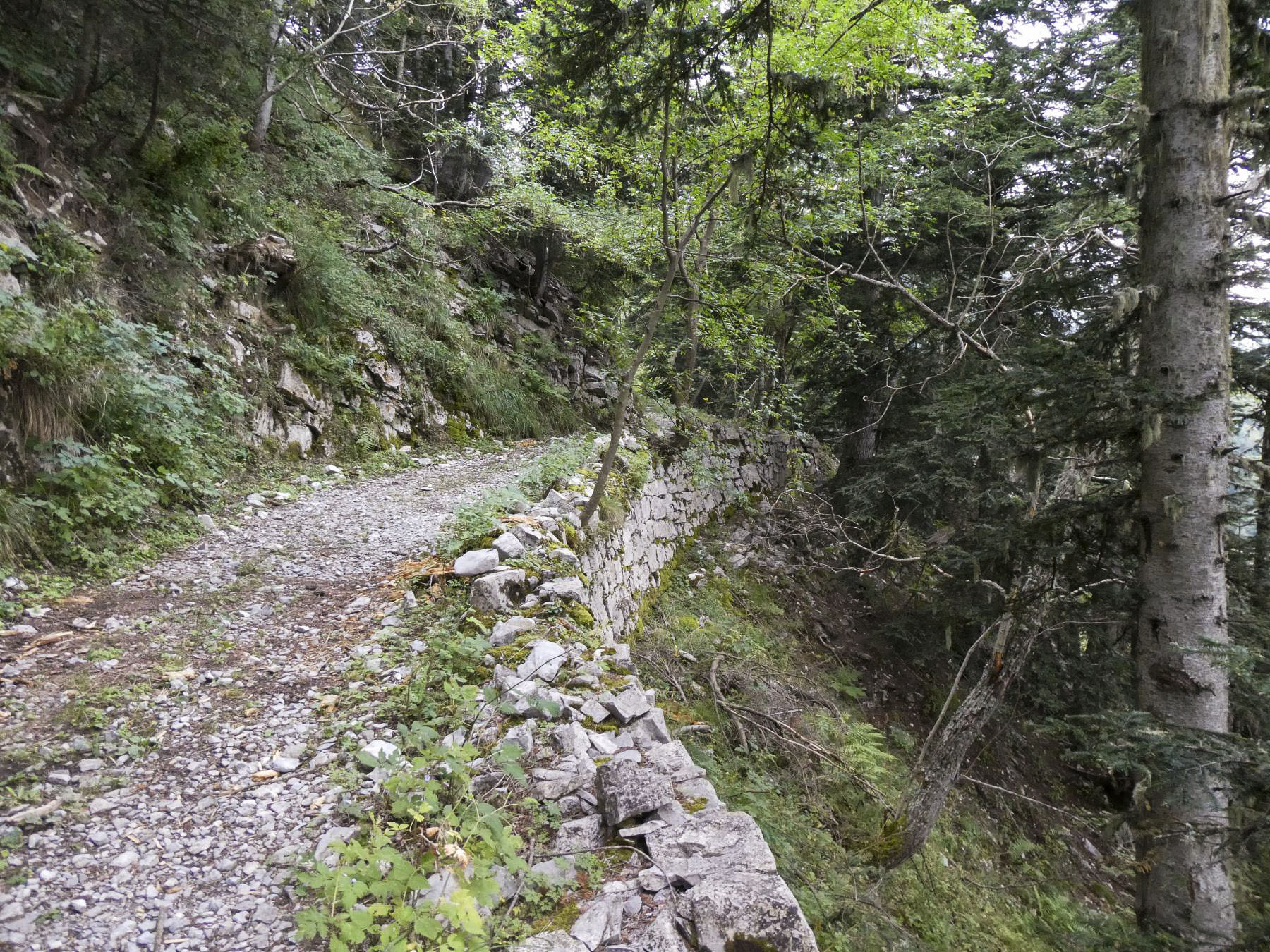 Ligne Maginot - L'ARBOIN SUD - (Observatoire d'artillerie) - La route militaire