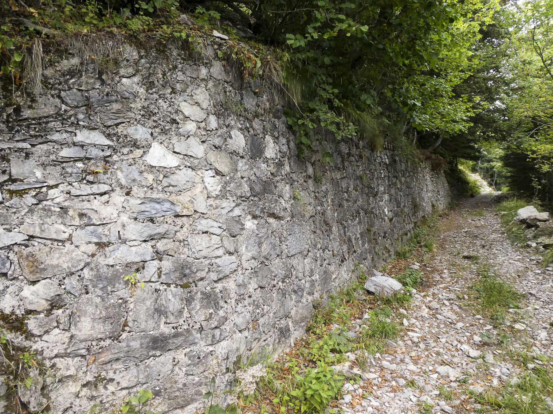 Ligne Maginot - L'ARBOIN SUD - (Observatoire d'artillerie) - La route militaire (Réfection 'Maginot')