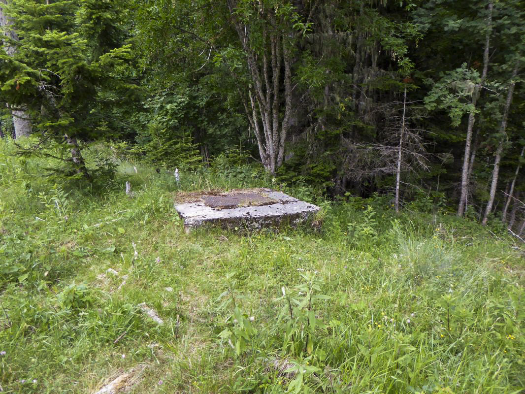 Ligne Maginot - TURINI - (Chambre de coupure) - 