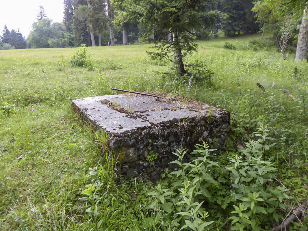 Ligne Maginot - TURINI - (Chambre de coupure) - 