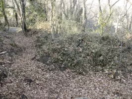 Ligne Maginot - AGAISEN COL - (Abri) - Position à proximité