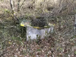 Ligne Maginot - AGAISEN COL - (Abri) - Position à proximité
