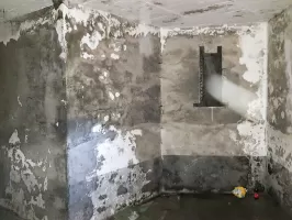 Ligne Maginot - BRAUS SUD (TUNNEL DE ) - (Blockhaus pour arme infanterie) - Blockhaus Ouest