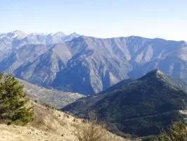 Ligne Maginot - CROIX ALBAREA - (Observatoire d'artillerie) - Vue depuis l'observatoire