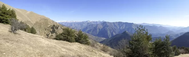 Ligne Maginot - CROIX ALBAREA - (Observatoire d'artillerie) - Vue depuis l'observatoire
