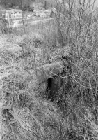 Ligne Maginot - CUNI - (Blockhaus pour arme infanterie) - L'accès par l'arrière