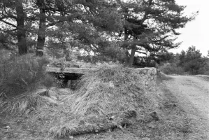 Ligne Maginot - PAS DE L'AGREE SUD - (Blockhaus pour arme infanterie) - 